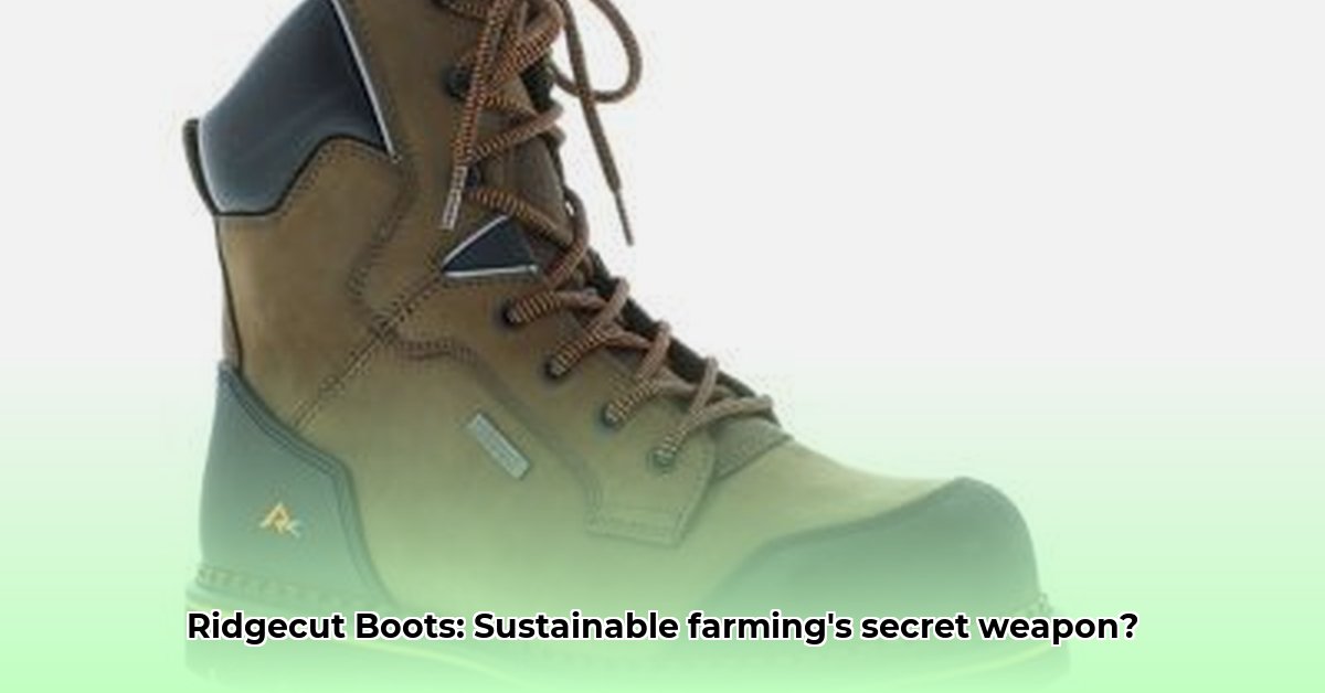 ridgecut-boots-tractor-supply